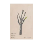 Günler Aylar Yıllar