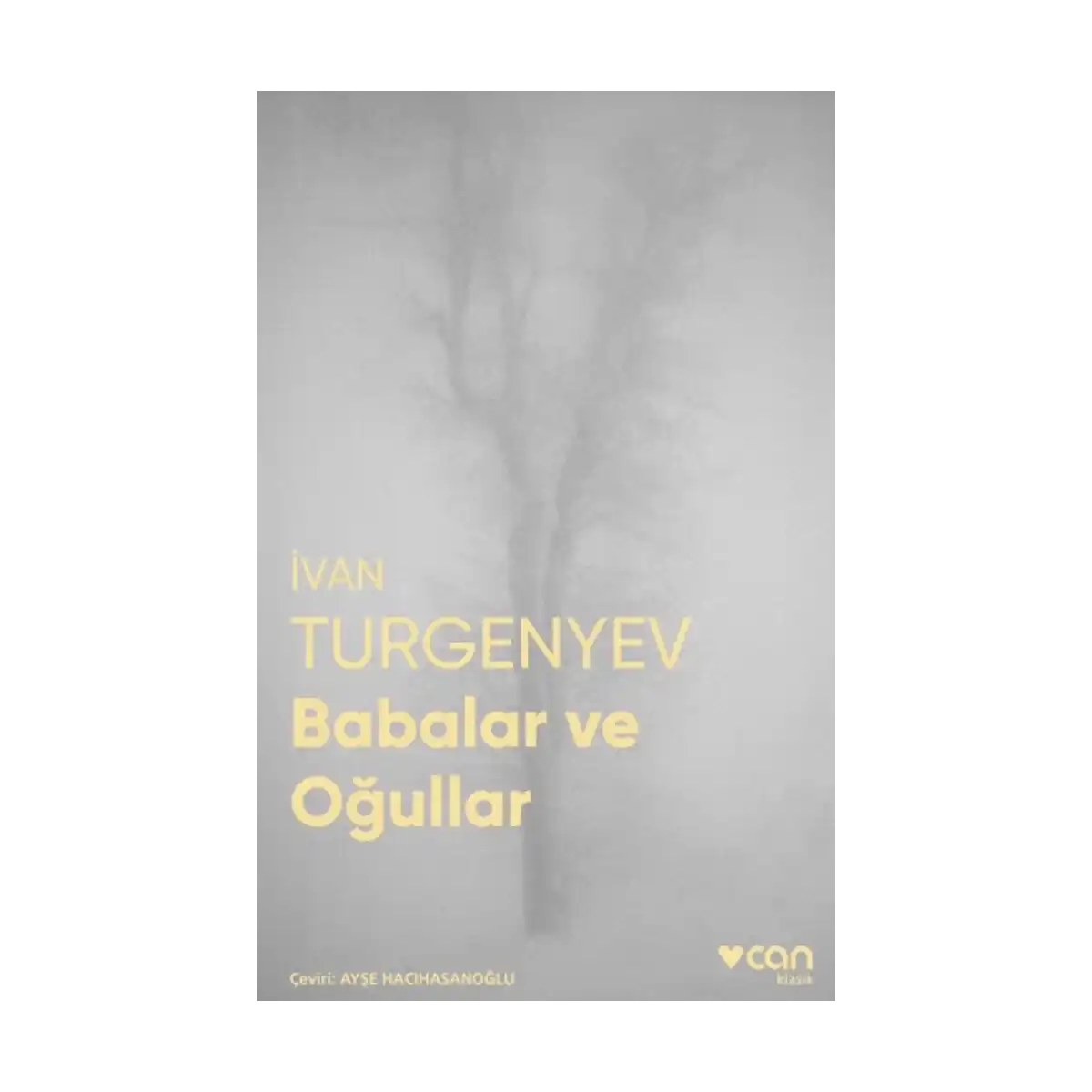 34dcd-babalar-ve-ogullar-fotografli-klasikler-1-1.webp Babalar ve Oğullar (Fotoğraflı Klasikler) - Görsel 1
