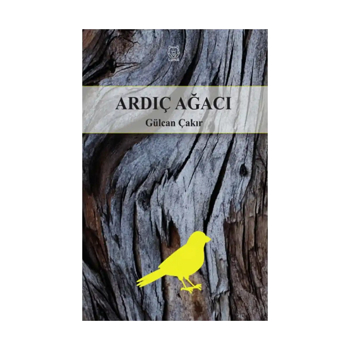 366a6-ardic-agaci-1-1.webp Ardıç Ağacı - Görsel 1