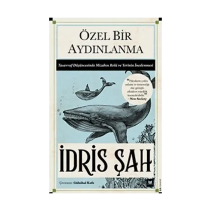 Özel Bir Aydınlanma