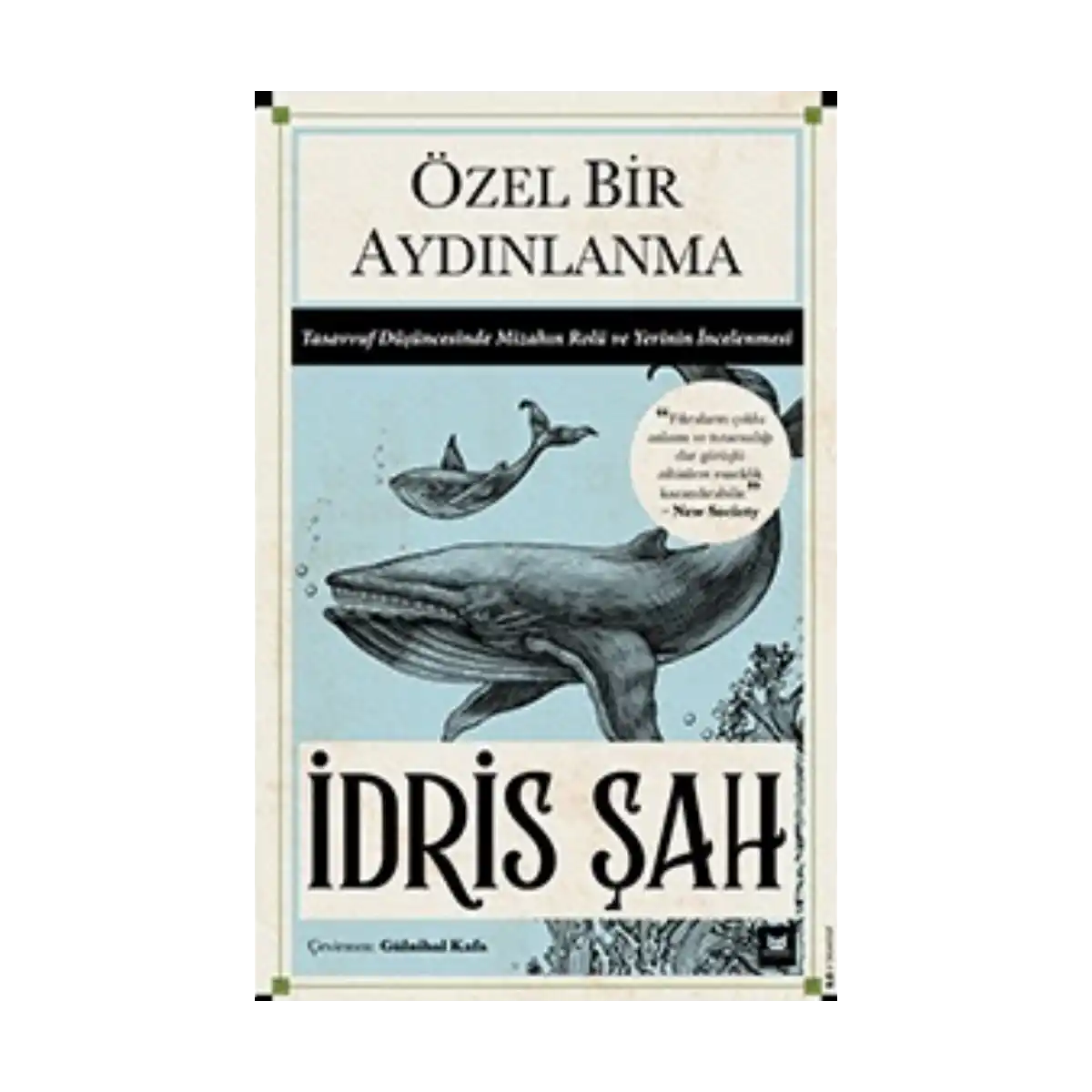 3717b-ozel-bir-aydinlanma-1-1.webp Özel Bir Aydınlanma - Görsel 1