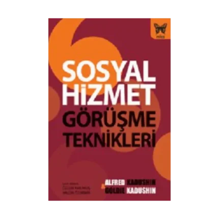 Sosyal Hizmet Görüşme Teknikleri