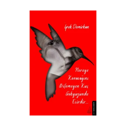 Nereye Konacağını Bilemeyen Kuş Gökyüzünde Esirdir