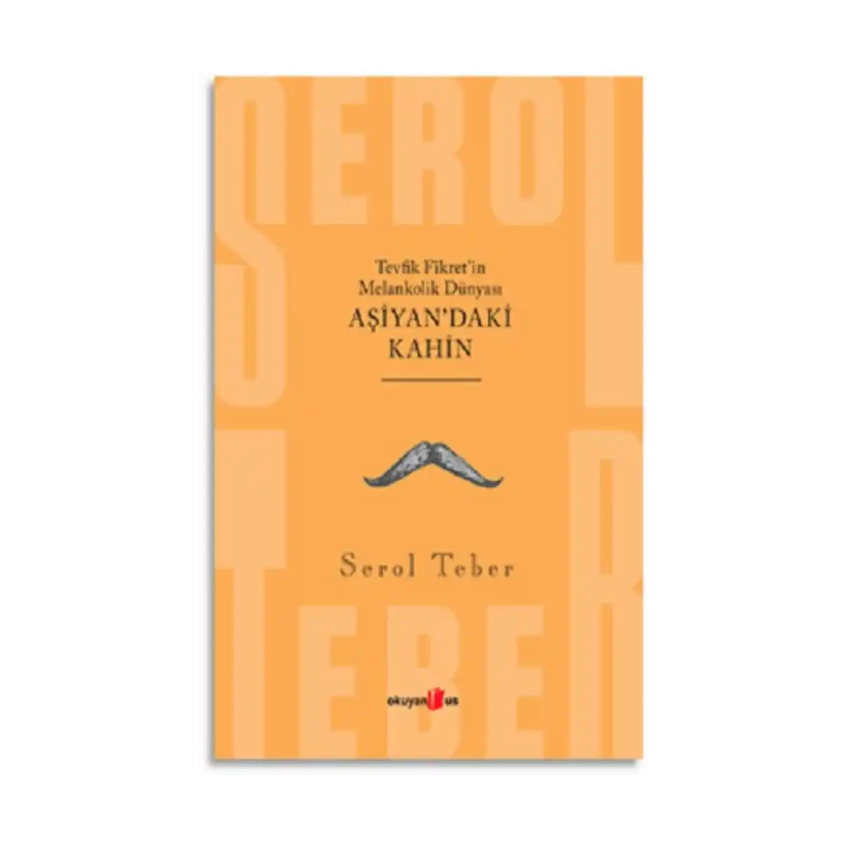 3b162-tevfik-fikret-in-melankolik-dunyasi-asiyan-daki-kahin-1-1.webp Tevfik Fikret’in Melankolik Dünyası Aşiyan'daki Kahin - Görsel 1