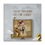 Kolları Ayaklarında Bay Fi’nin Klarneti