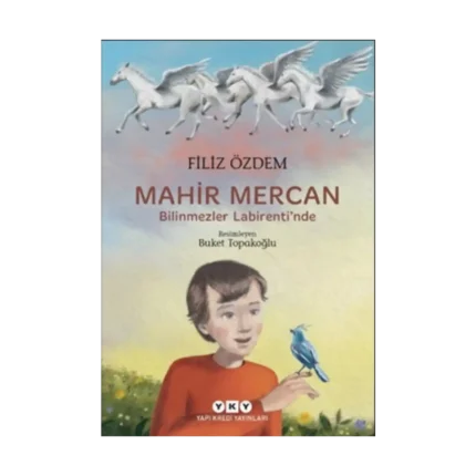 Mahir Mercan - Bilinmezler Labirenti’nde