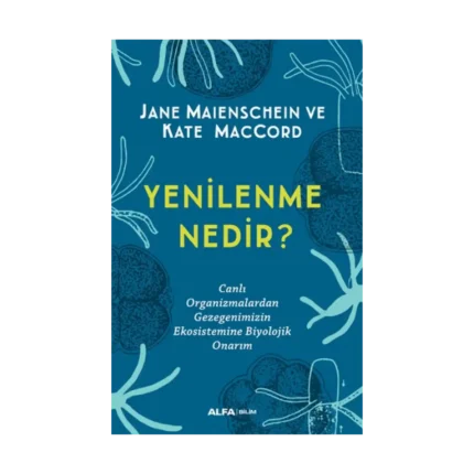 Yenilenme Nedir?