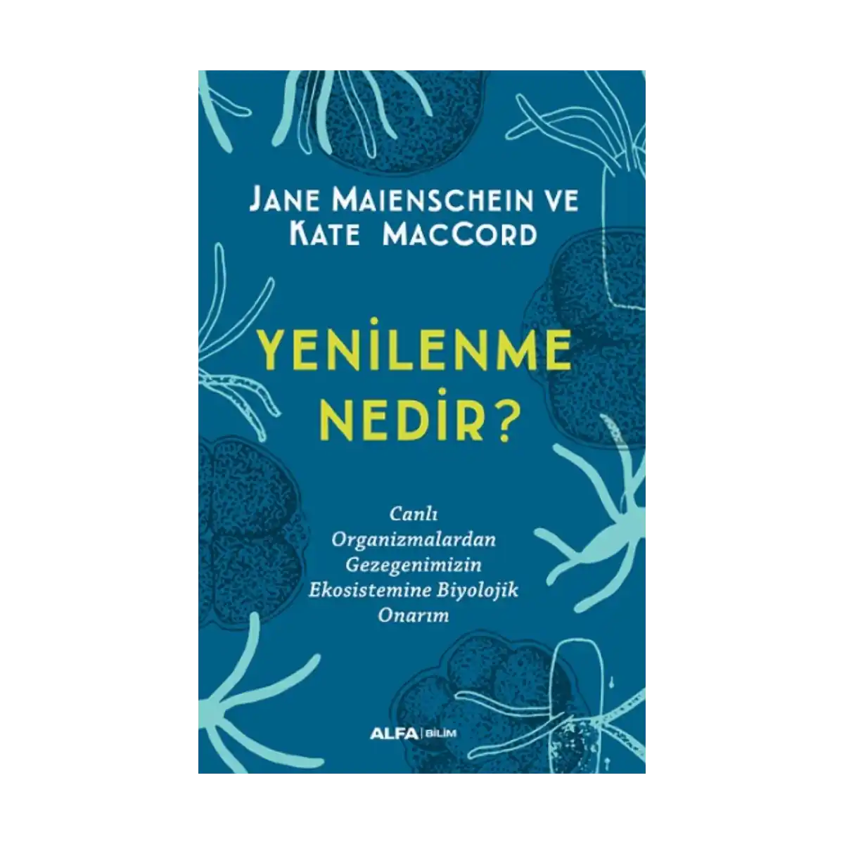 411bb-yenilenme-nedir-1-1.webp Yenilenme Nedir? - Görsel 1