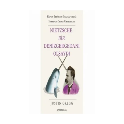 Nietzsche Bir Denizgergedanı Olsaydı