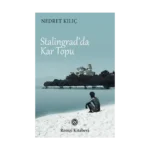 Stalingrad’da Kar Topu