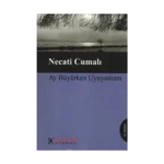 Ay Büyürken Uyuyamam