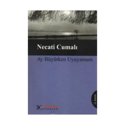 Ay Büyürken Uyuyamam