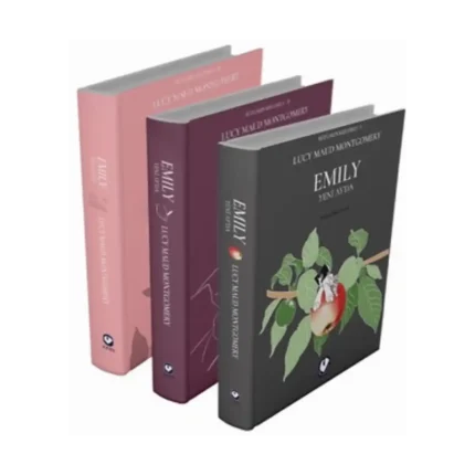 Rüzgarın Kızı Emily Serisi (3 Kitap)
