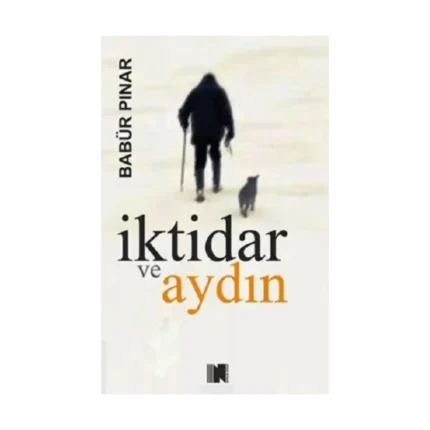 İktidar ve Aydın