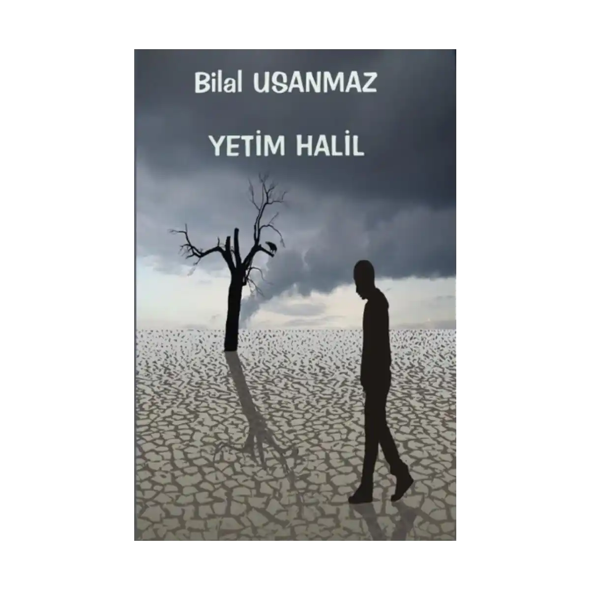 4c911-yetim-halil-1-1.webp Yetim Halil - Görsel 1