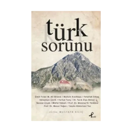 Türk Sorunu