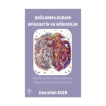 Bağlanma Kuramı Epigenetik ve Nörobilim