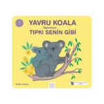 Yavru Koala Öğreniyor Tıpkı Senin Gibi