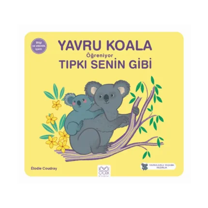 Yavru Koala Öğreniyor Tıpkı Senin Gibi