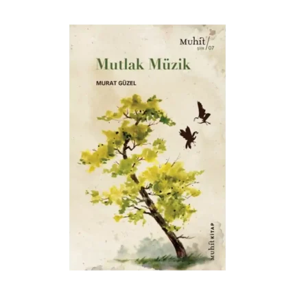 Mutlak Müzik