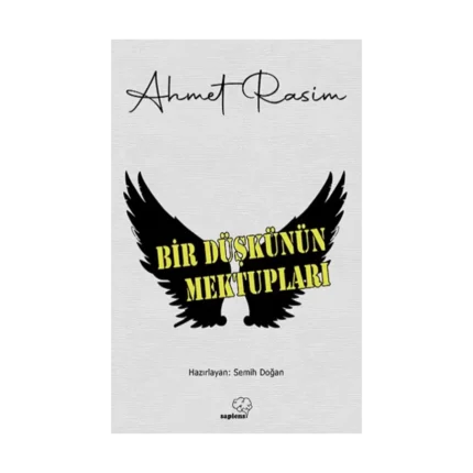 Bir Düşkünün Mektupları