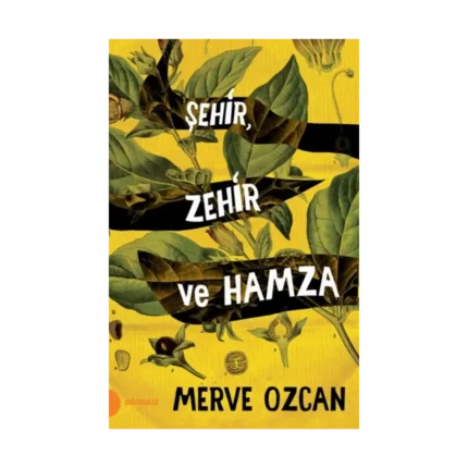 Şehir Zehir ve Hamza