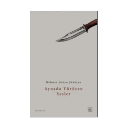Aynada Yürüyen Sesler