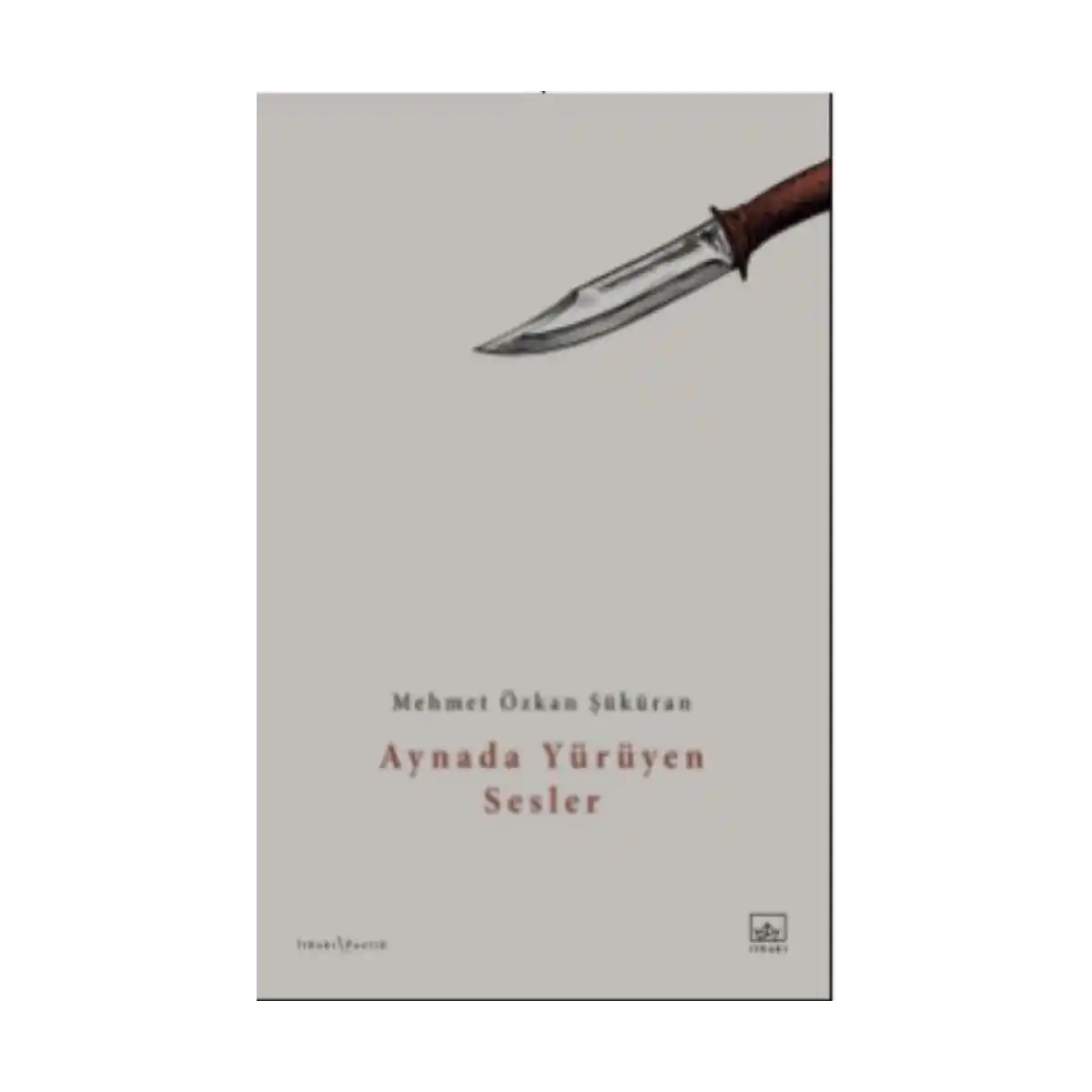 5c145-aynada-yuruyen-sesler-1-1.webp Aynada Yürüyen Sesler - Görsel 1