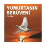 Yumurtanın Serüveni