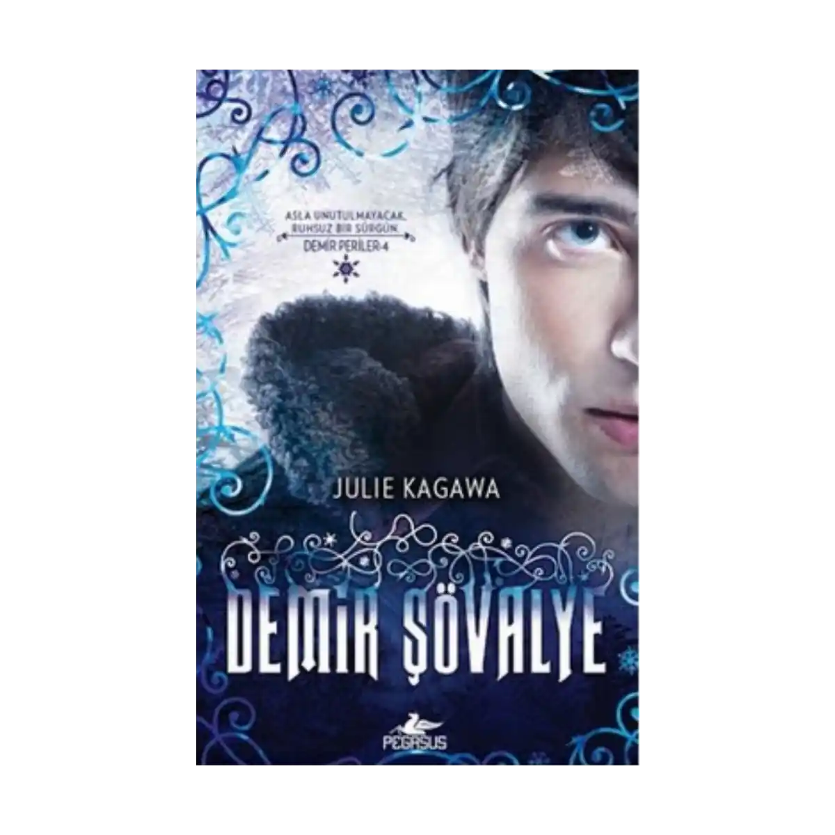 5f89e-demir-sovalye-1-1.webp Demir Şövalye - Görsel 1