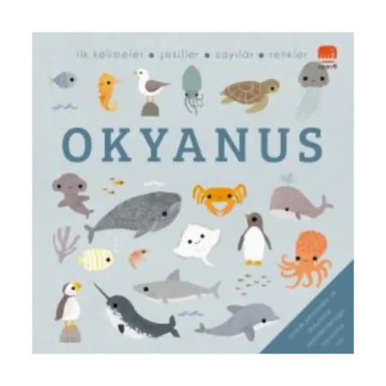 Okyanus - Say Bul Eğlen