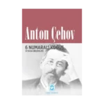 6 Numaralı Koğuş ve Kısa Hikayeler