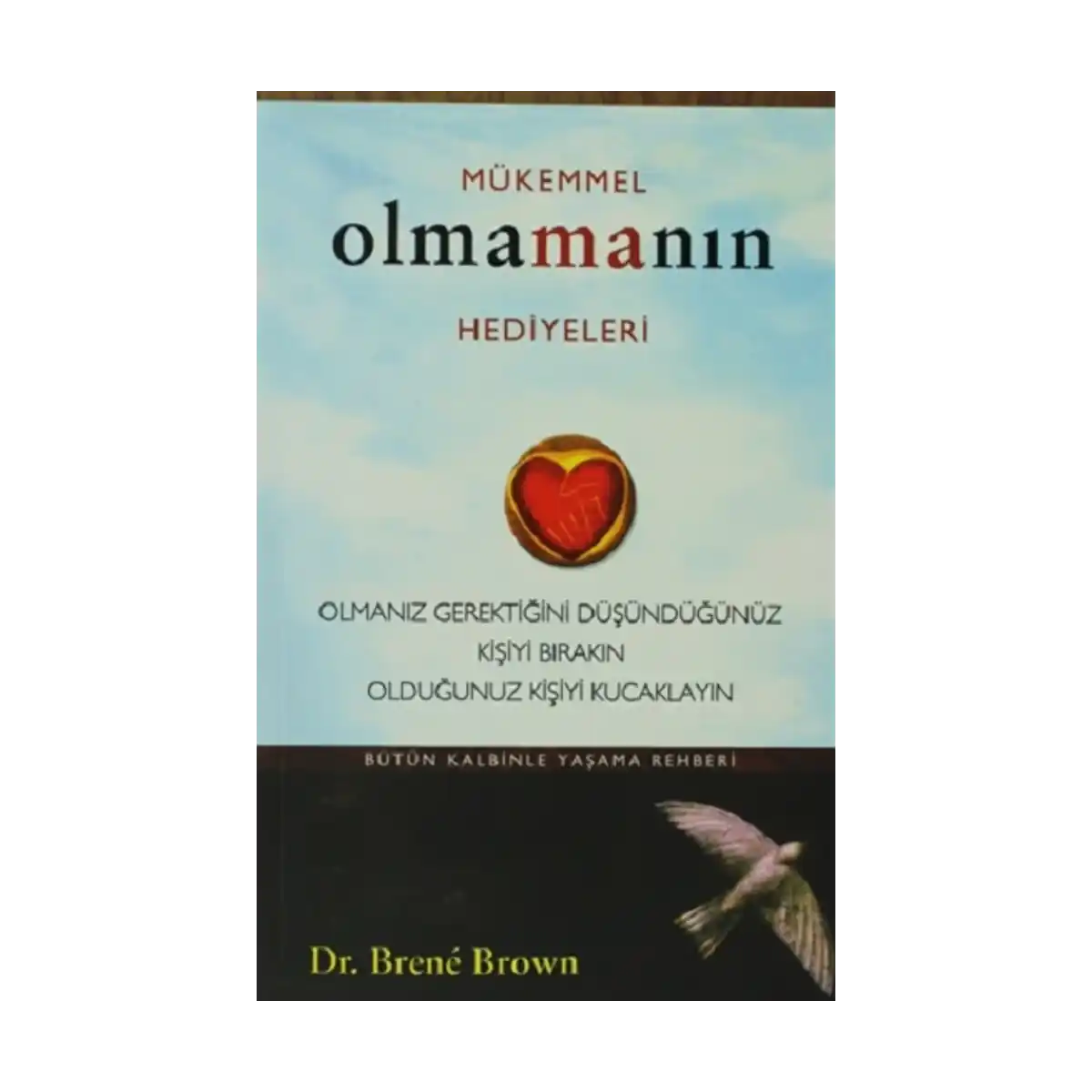 6559e-mukemmel-olmamanin-hediyeleri-1-1.webp Mükemmel Olmamanın Hediyeleri - Görsel 1