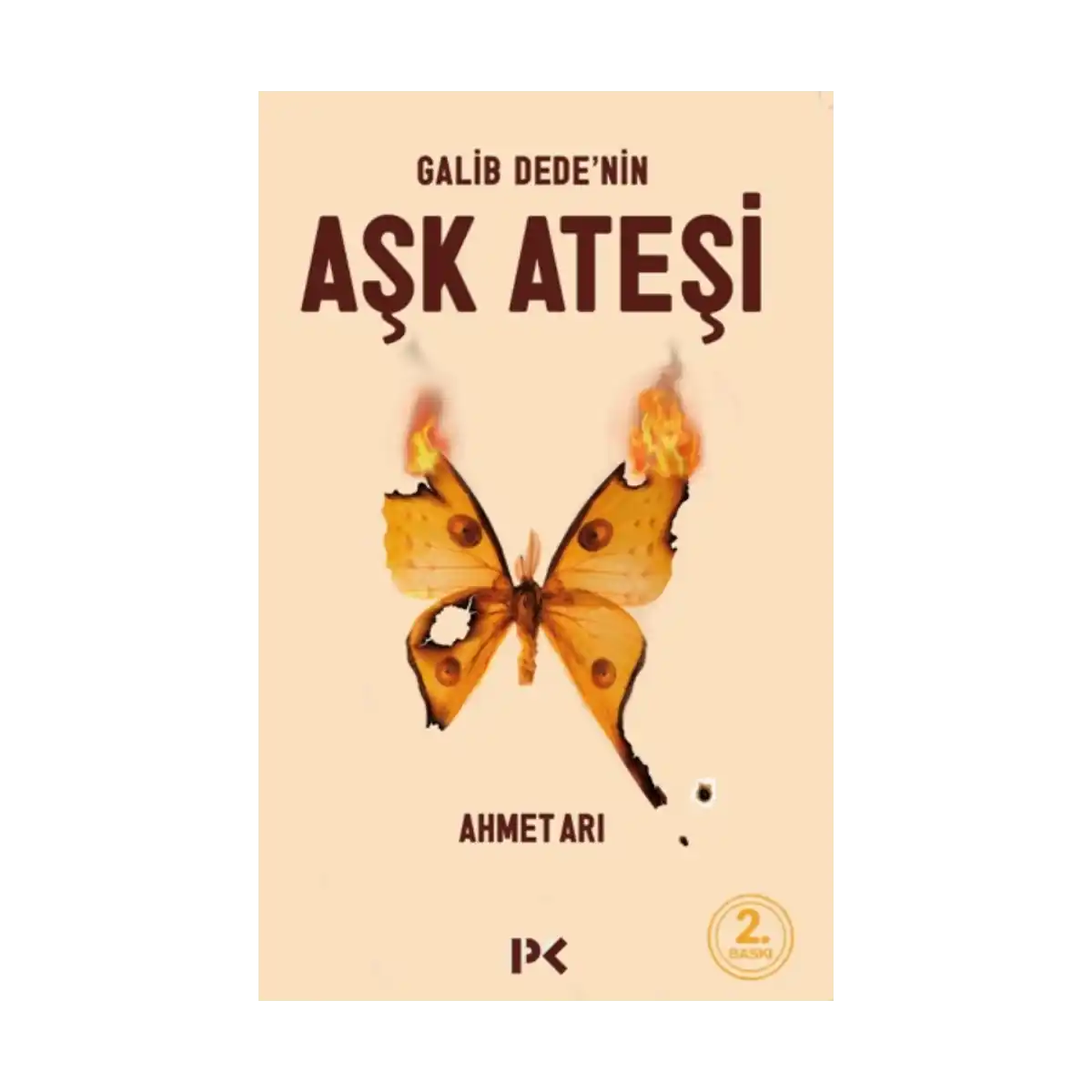 671fe-galib-dede-nin-ask-atesi-1-1.webp Galib Dede’nin Aşk Ateşi - Görsel 1