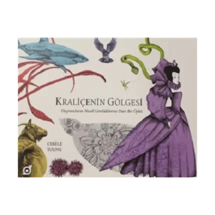 Kraliçenin Gölgesi