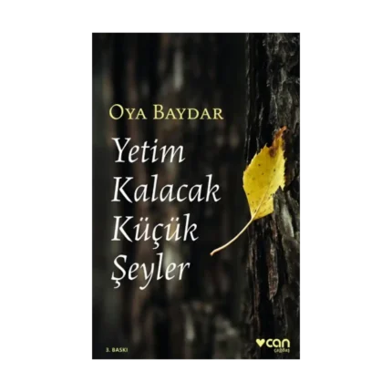 Yetim Kalacak Küçük Şeyler