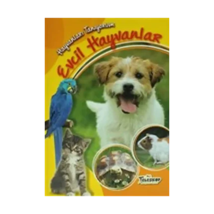 Hayvanları Tanıyorum - Evcil Hayvanlar