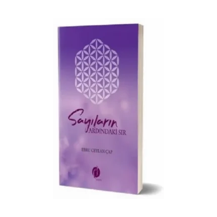 Sayıların Ardındaki