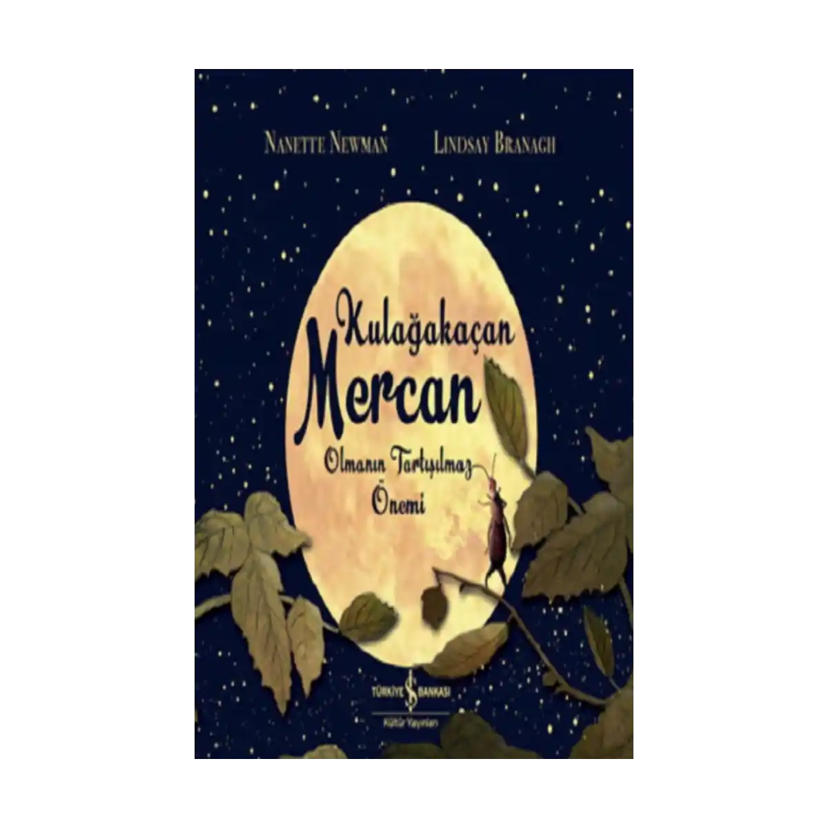 6f962-kulagakacan-mercan-olmanin-tartisilmaz-onemi-1-1.webp Kulağakaçan Mercan Olmanın Tartışılmaz Önemi - Görsel 1