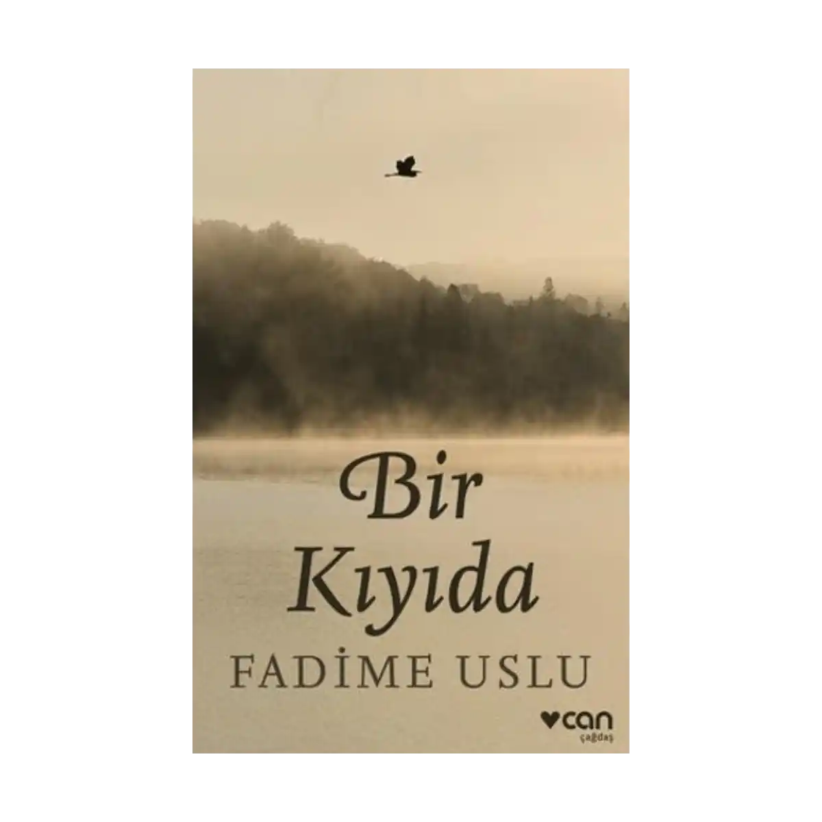 70d08-bir-kiyida-1-1.webp Bir Kıyıda - Görsel 1