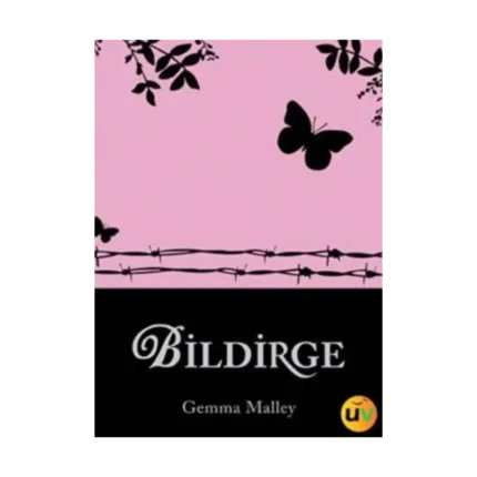 Bildirge