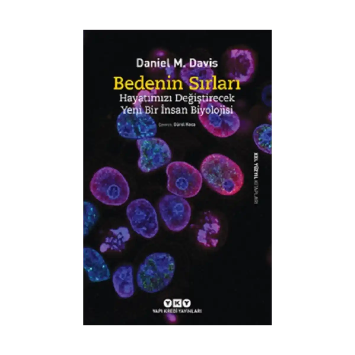 749ed-bedenin-sirlari-hayatimizi-degistirecek-yeni-bir-insan-biyolojisi-1-1.webp Bedenin Sırları - Hayatımızı Değiştirecek Yeni Bir İnsan Biyolojisi - Görsel 1