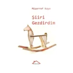 Şiiri Gezdirdim
