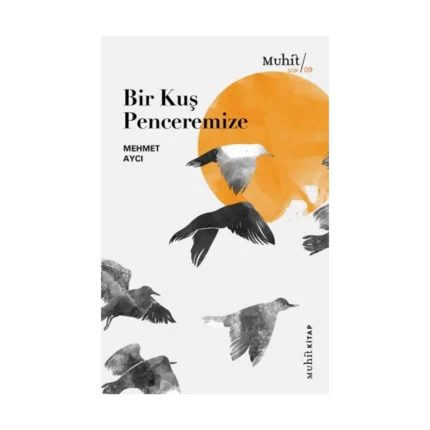 Bir Kuş Penceremize