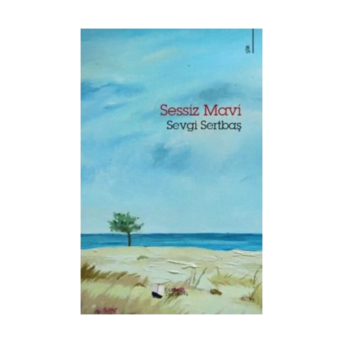 78e09-sessiz-mavi-1-1.webp Sessiz Mavi - Görsel 1