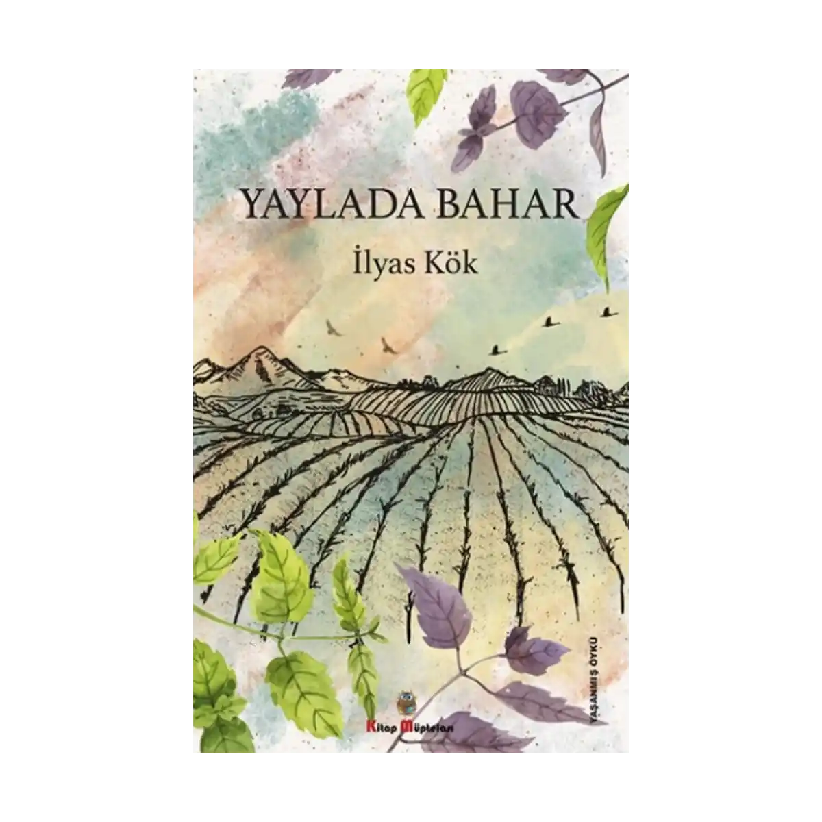 7c3e6-yaylada-bahar-1-1.webp Yaylada Bahar - Görsel 1