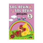 Sağ Beyin - Sol Beyin Gelişimi +5 Yaş