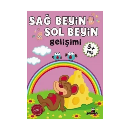 Sağ Beyin - Sol Beyin Gelişimi +5 Yaş