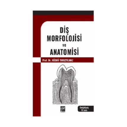 Diş Morfolojisi Ve Anatomisi