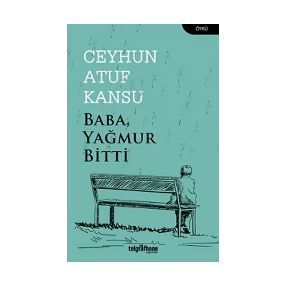 7e679-baba-yagmur-bitti-1-1.webp Baba Yağmur Bitti - Görsel 1